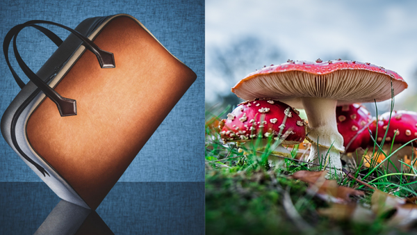 Hermès' new mushroom-based 'leather' bag, and exactly how sustainable is it?