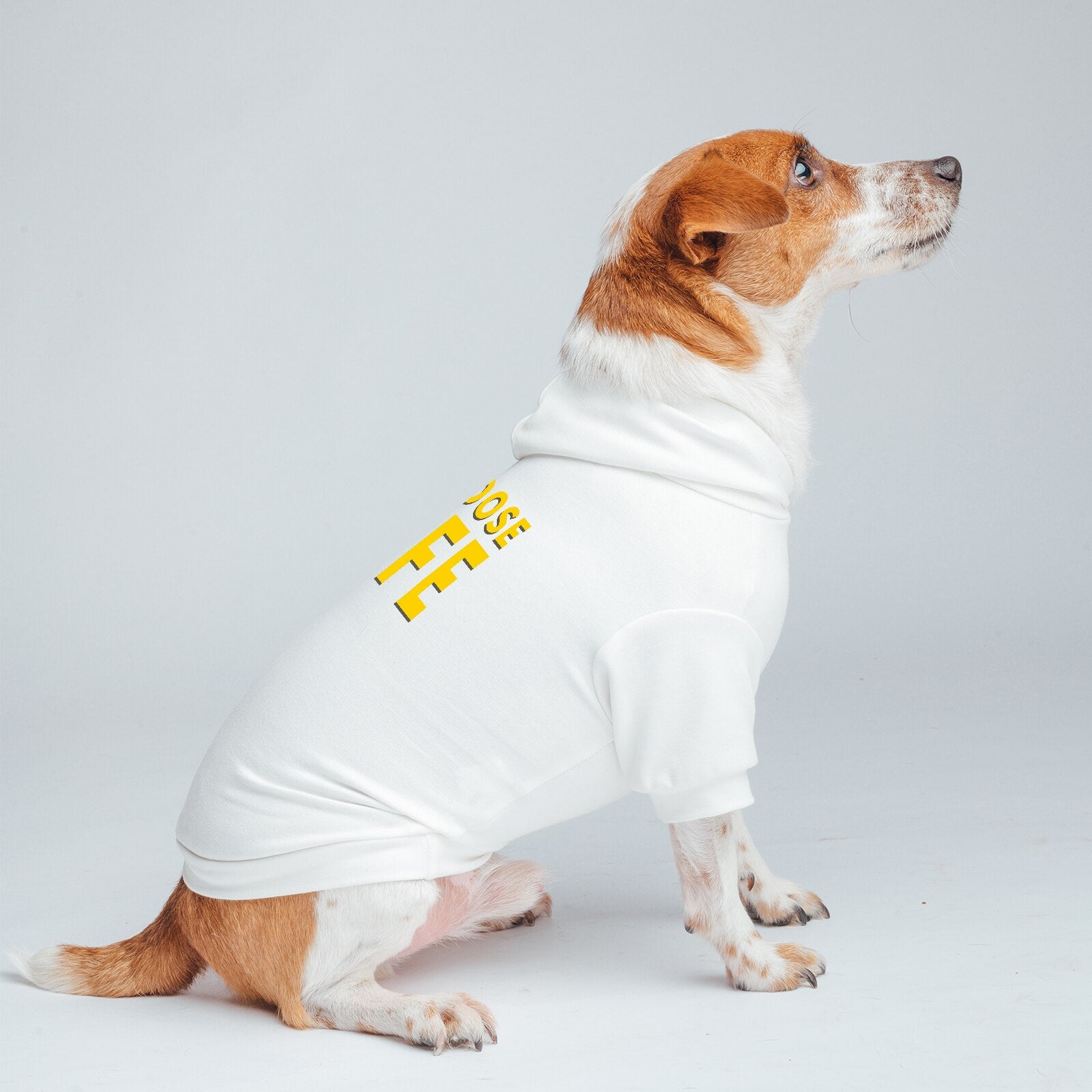 Dog Clothes Hoodie with Leash Hole Design, Letter Printed Pattern Stripe Red White，Cute Classic and Fashion