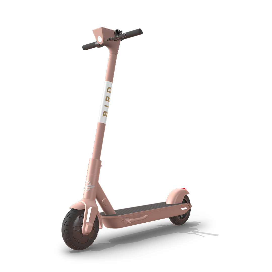 buy bird scooter