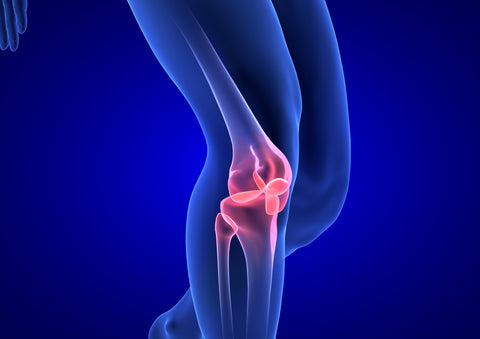 Collagen shown to help reduce joint pain