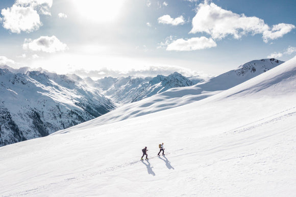 Groene bonen Paard mooi Mountain Lab - Ski winkel - Kwalitatief tweedehands materiaal