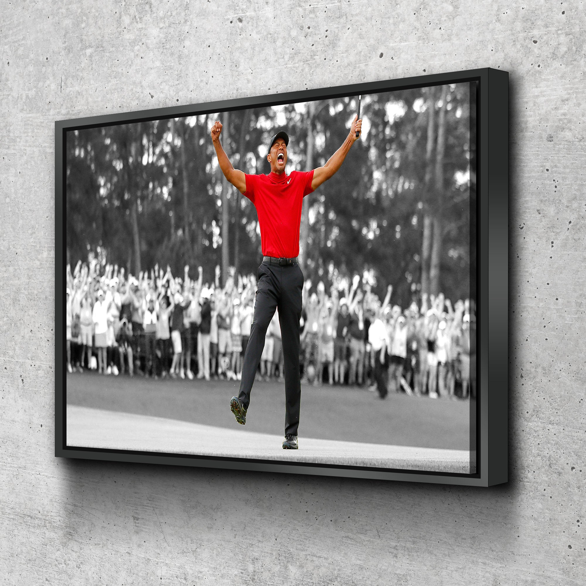 Tiger Woods 2019 Masters Win CANVAS WALL ART Picture Print Poster Canv