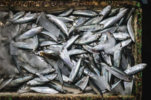 Fish Pile, Farm-Raised vs. Wild-Caught Fish: What's the Difference?