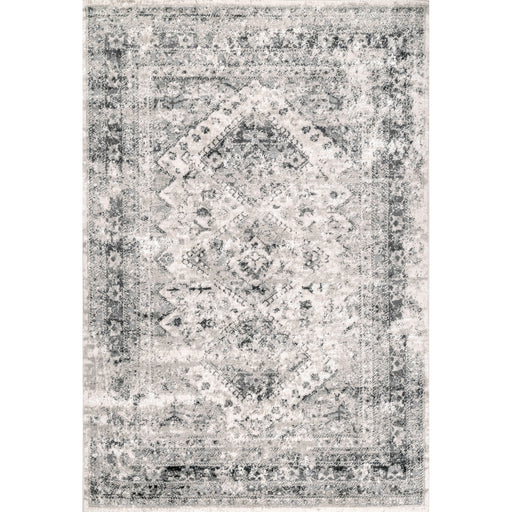 Jodee Vintage Medallion Area Rug — nuLOOM