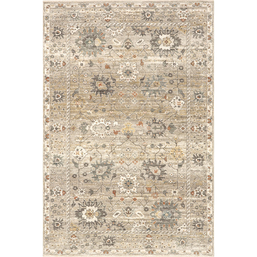 Sawyer Vintage Transitional Area Rug — nuLOOM