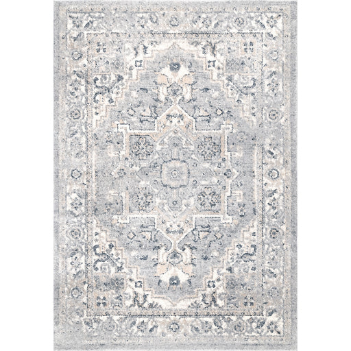 Sawyer Vintage Transitional Area Rug — nuLOOM