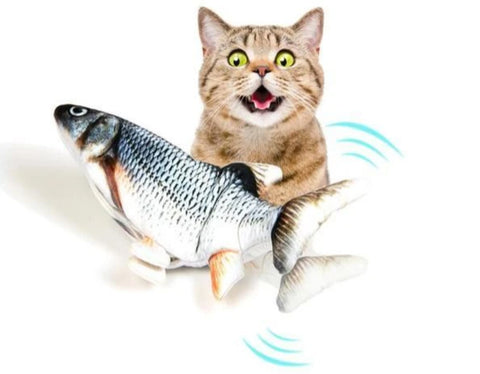 Gato com peixe