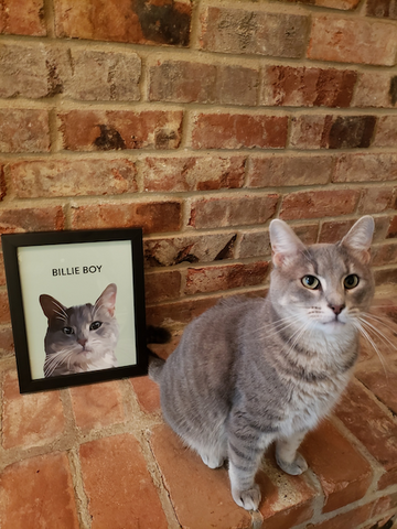 A cat sitting next to its photos