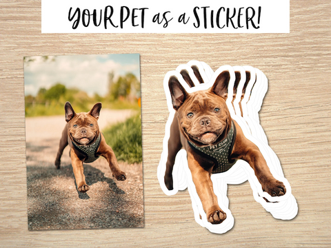 Print our pet stickers