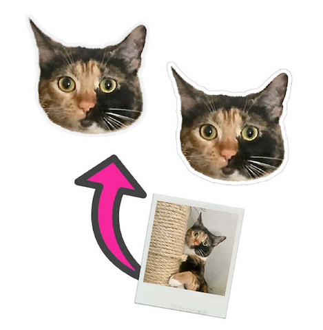 Cat stickers