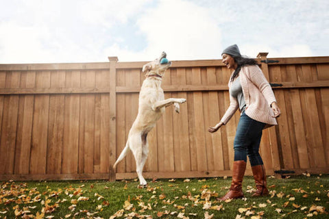 Shot of a young woman playing with her dog outside dog 