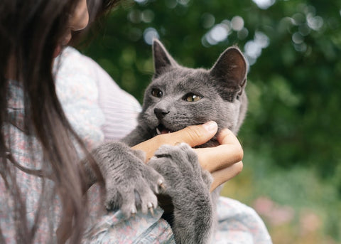 Woman cuddling a cat 