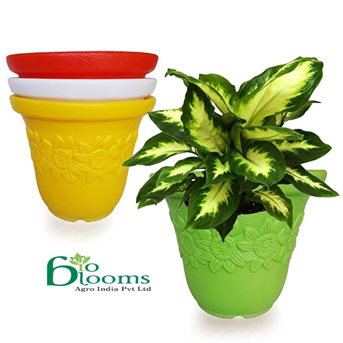 Sunflower Decorative Pot for Indoor & Outdoor Plants (Pack of 5)