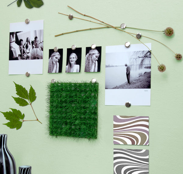 Swatches pinned onto the magnetic wall using magnets