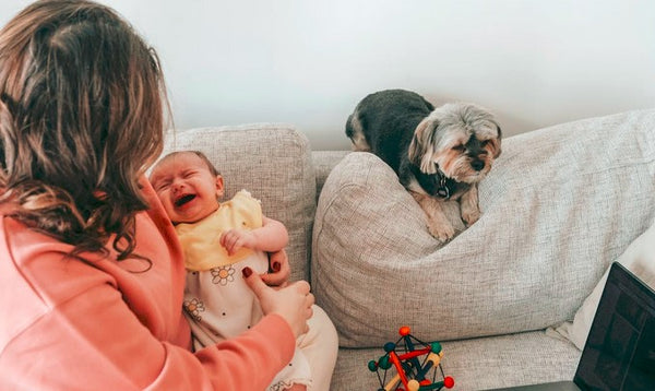 Mother with crying baby near dog