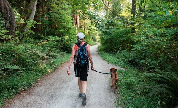 A person walking a dog