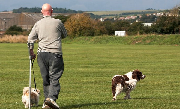 Man exercising his dogs