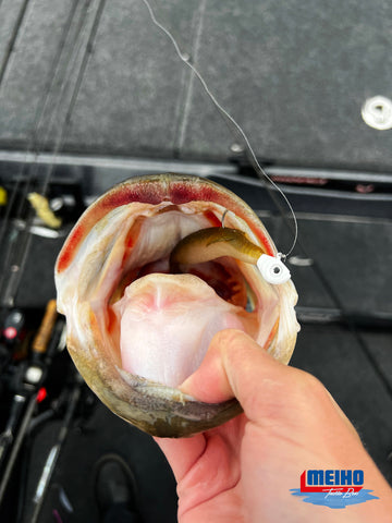 Bass Caught While Fishing With Meiho Versus Compartment Cases