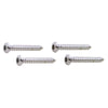 Speaker Cover Screws - Chrome 4 pk.