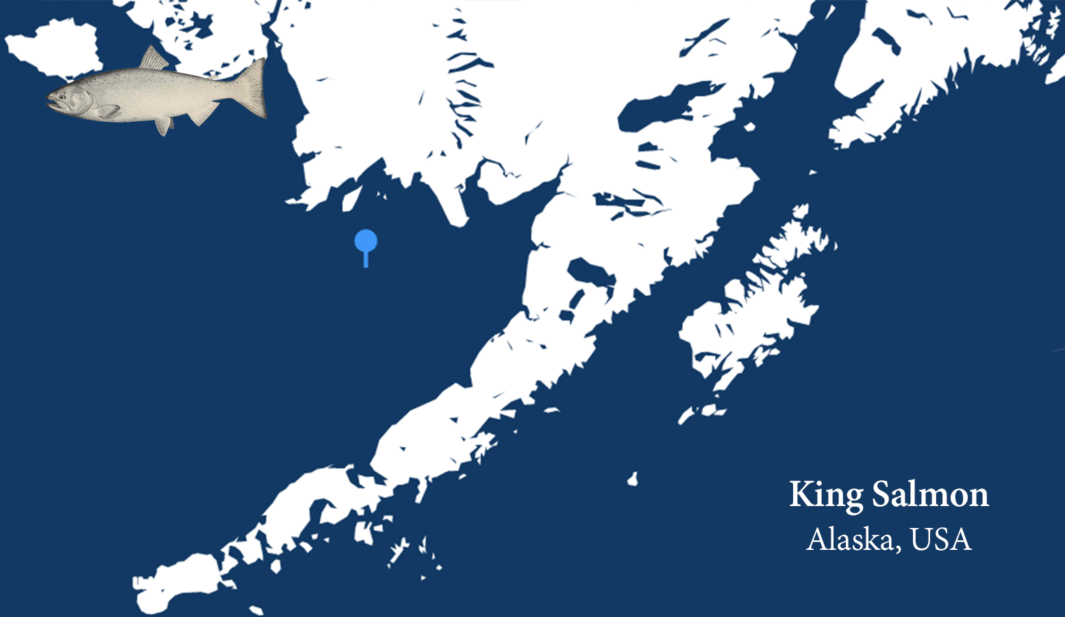 Wild Alaska King Salmon sourcing information