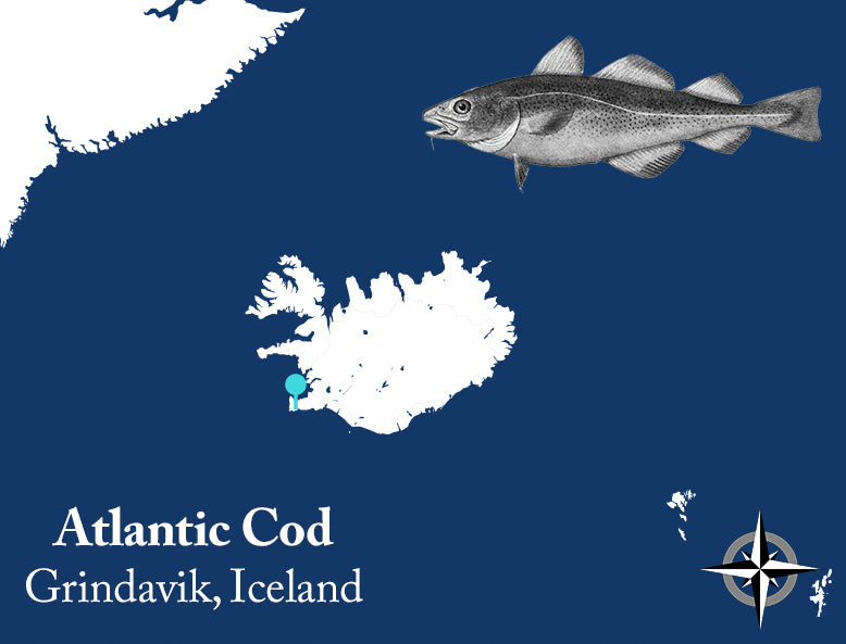 Wild Atlantic Cod sourcing information