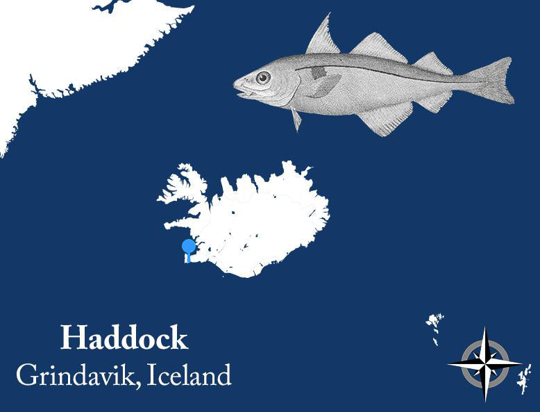 Wild Atlantic Haddock sourcing information