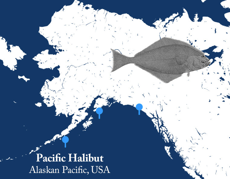 Wild Alaska Halibut sourcing information