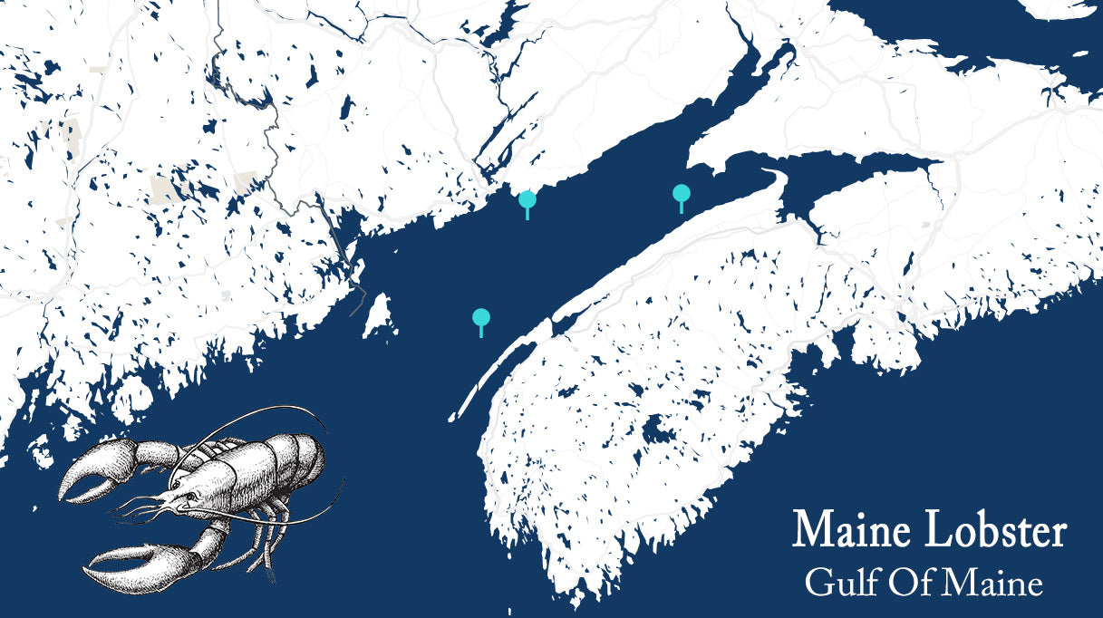 Maine Lobster Tails sourcing information