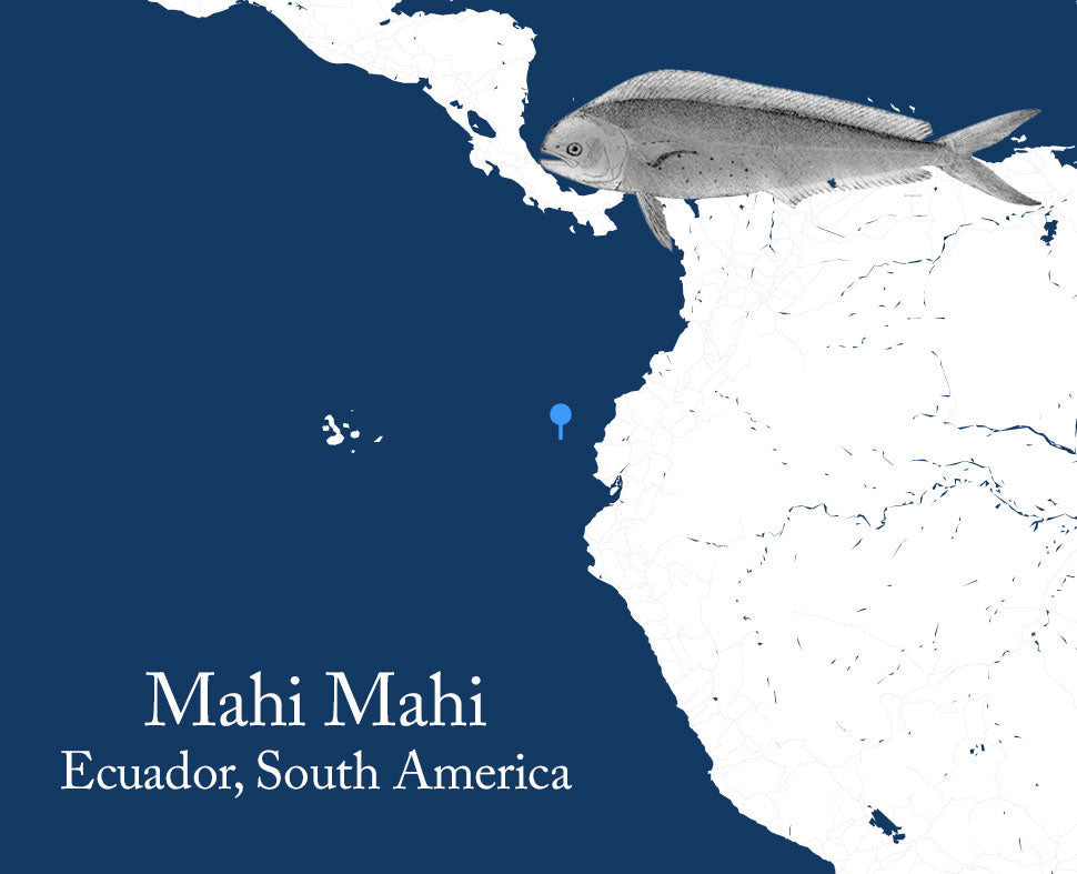 Wild Pacific Mahi-Mahi sourcing information