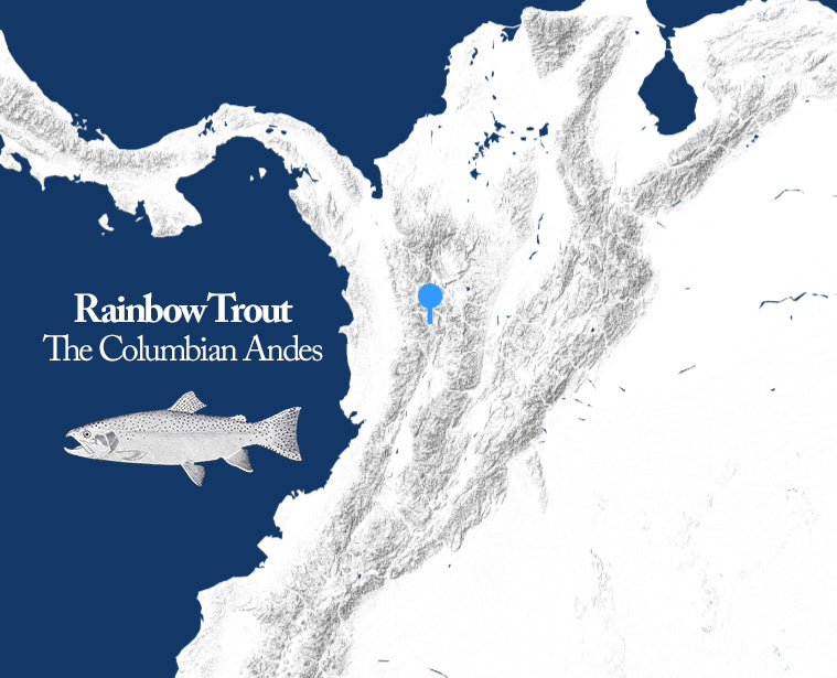 Rainbow Trout sourcing information