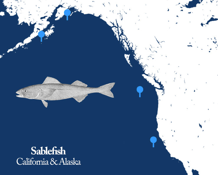 Sablefish (Black Cod) sourcing information