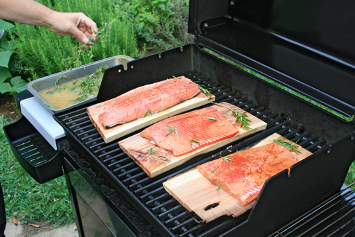 Grilled Salmon planks