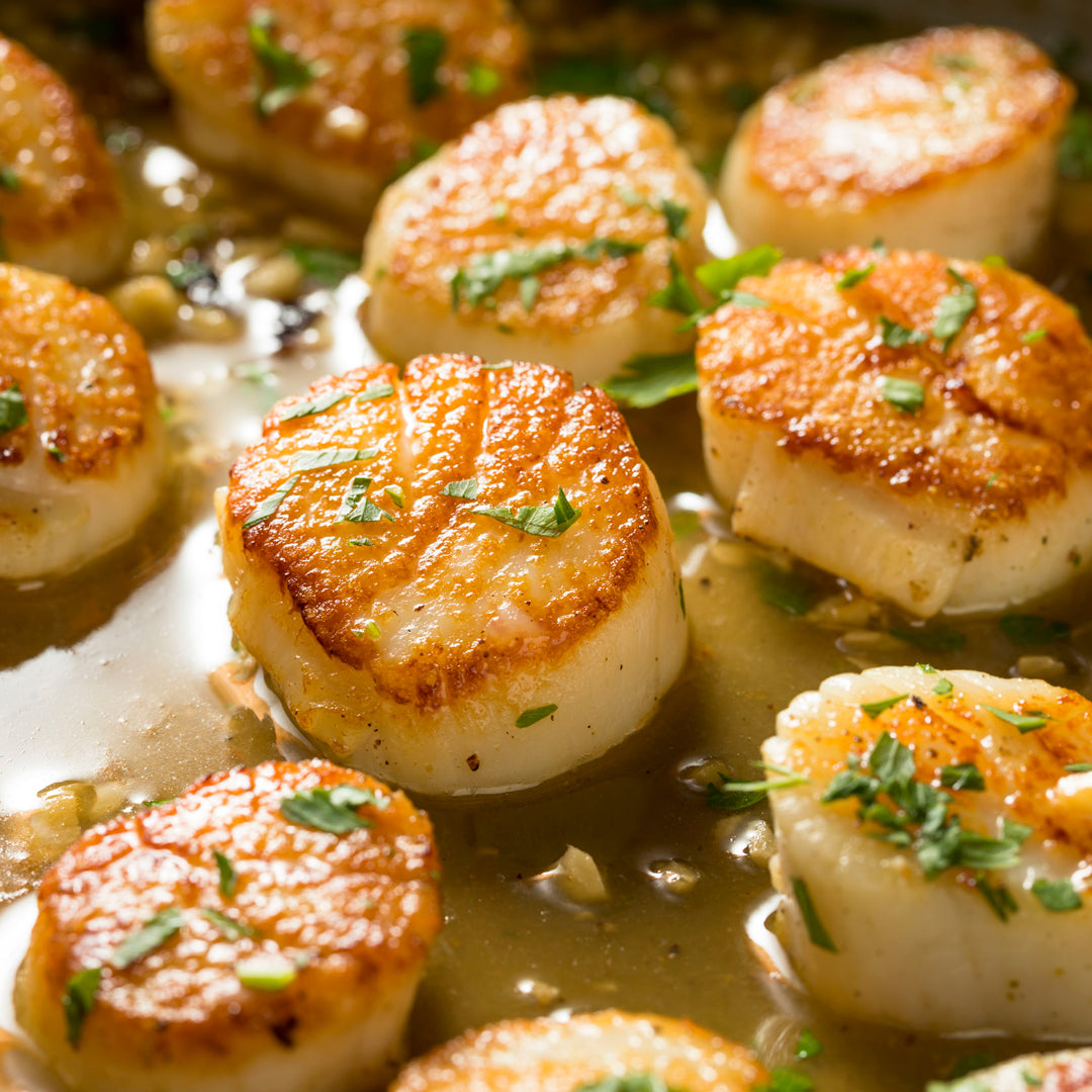 Scallop frozen food