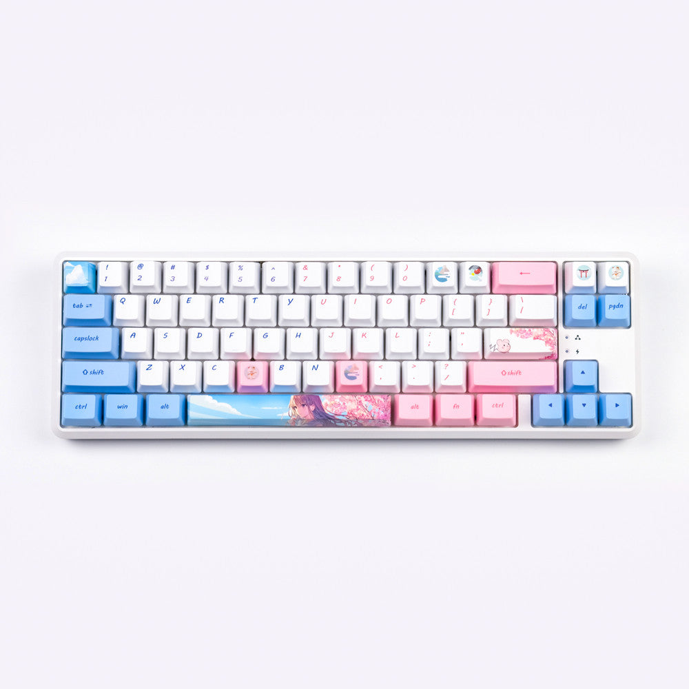 pink and light blue keycaps