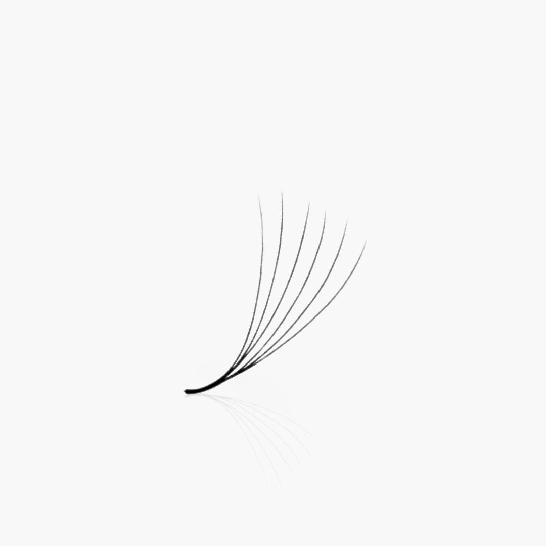 6D | 0.05mm | 500 Premade Lash Fans