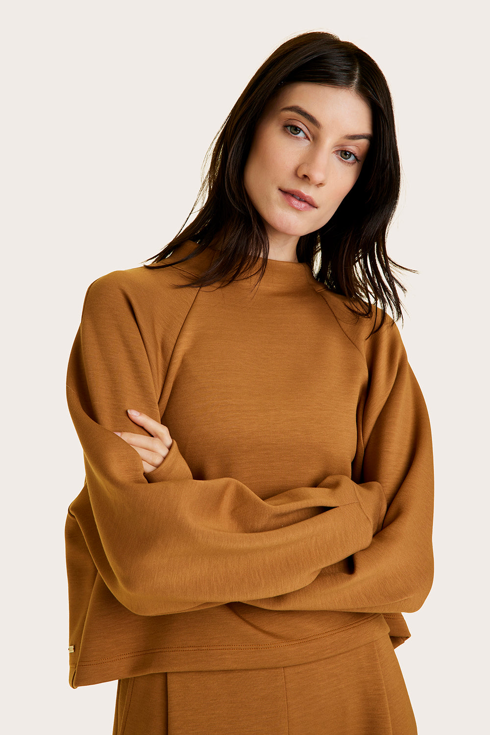 Image of Phoebe Mock Knit