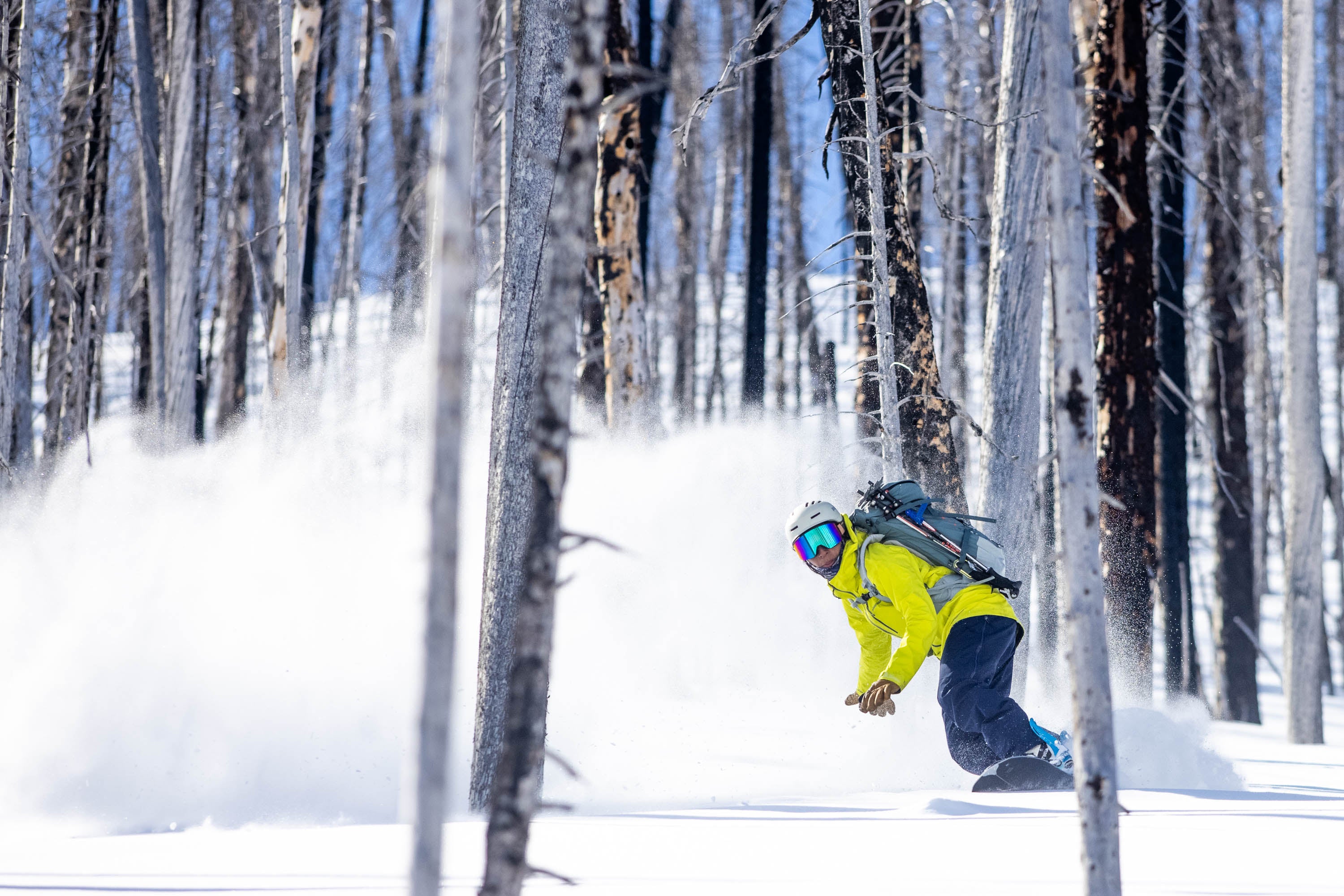 Latina AAPI athlete snowboards through a burned forest, remnants of human impact.