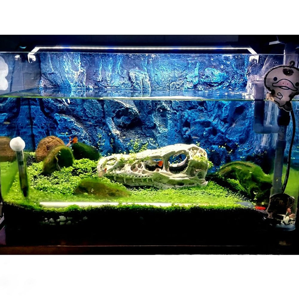 7 décorations à placer dans son aquarium