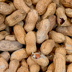 Roasted Peanuts