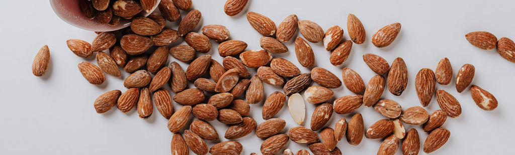 Almonds, a common source of vegan protein