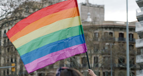 Earth Song Jewelry BeatPlasticPollution World Environment Day 2023 LGBTQIA Pride Month Rainbow Flag