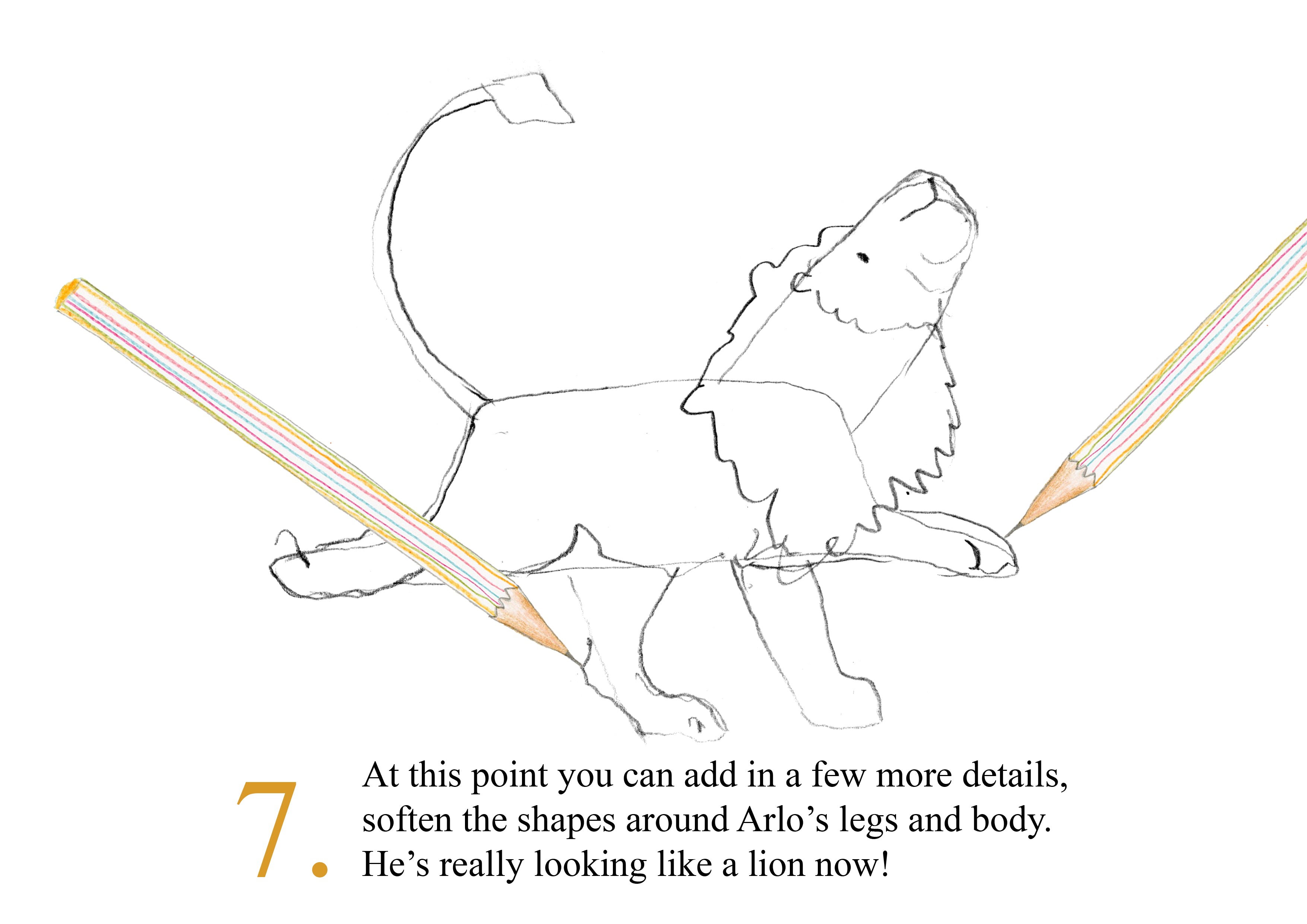 Catherine Rayner - How to Draw Arlo - Step 7