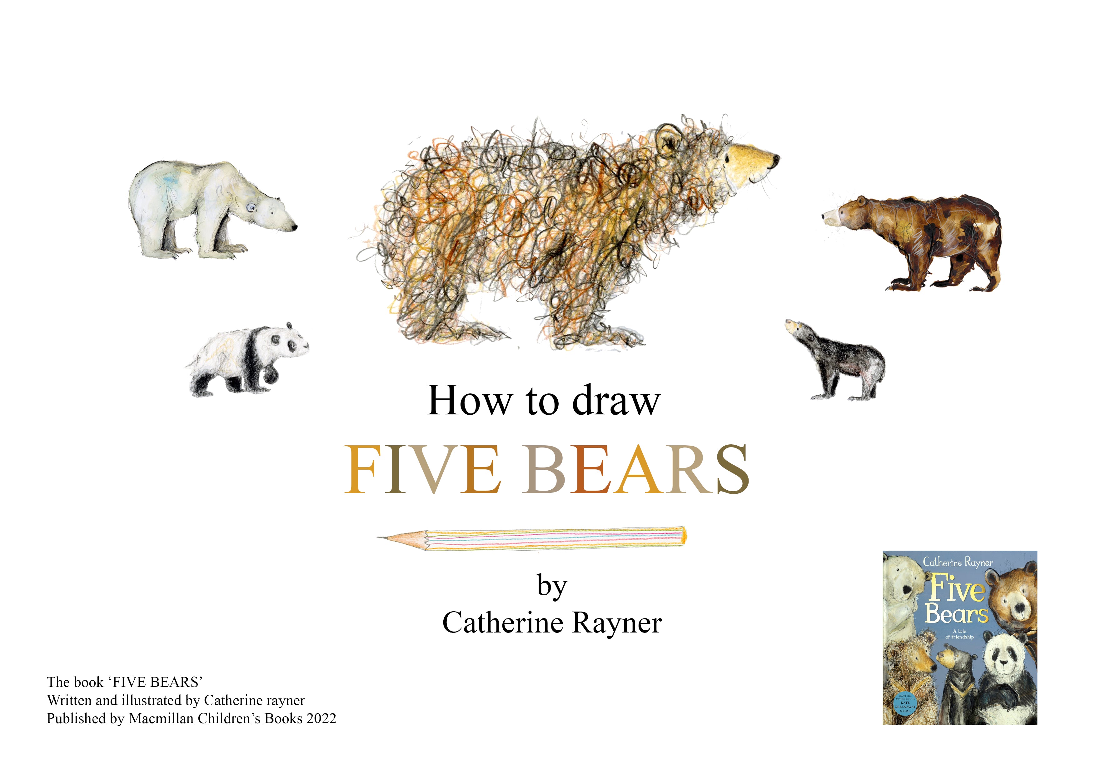 Catherine Rayner - How to Draw 5 Bears