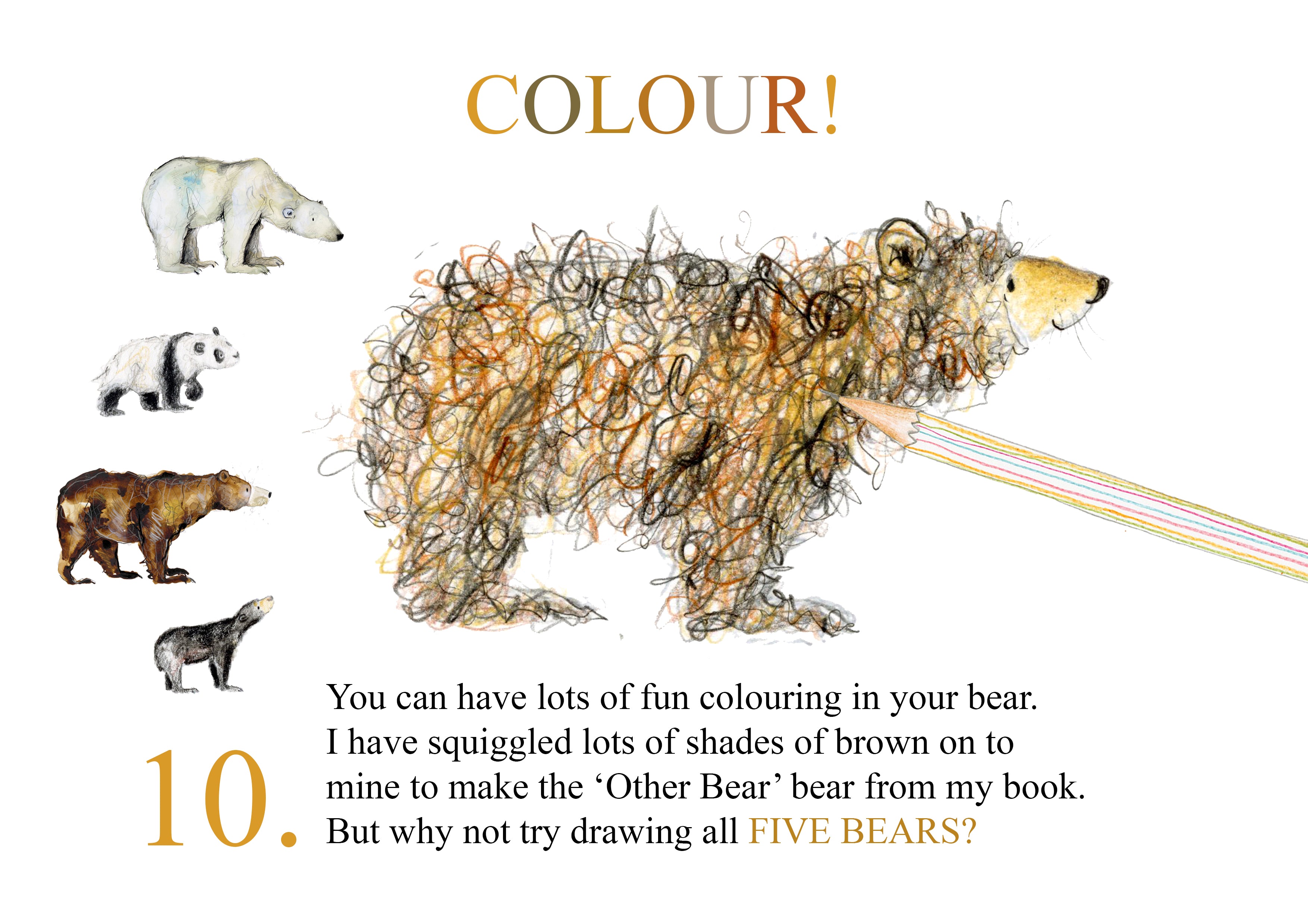 Catherine Rayner -  How to Draw 5 Bears- Step 10