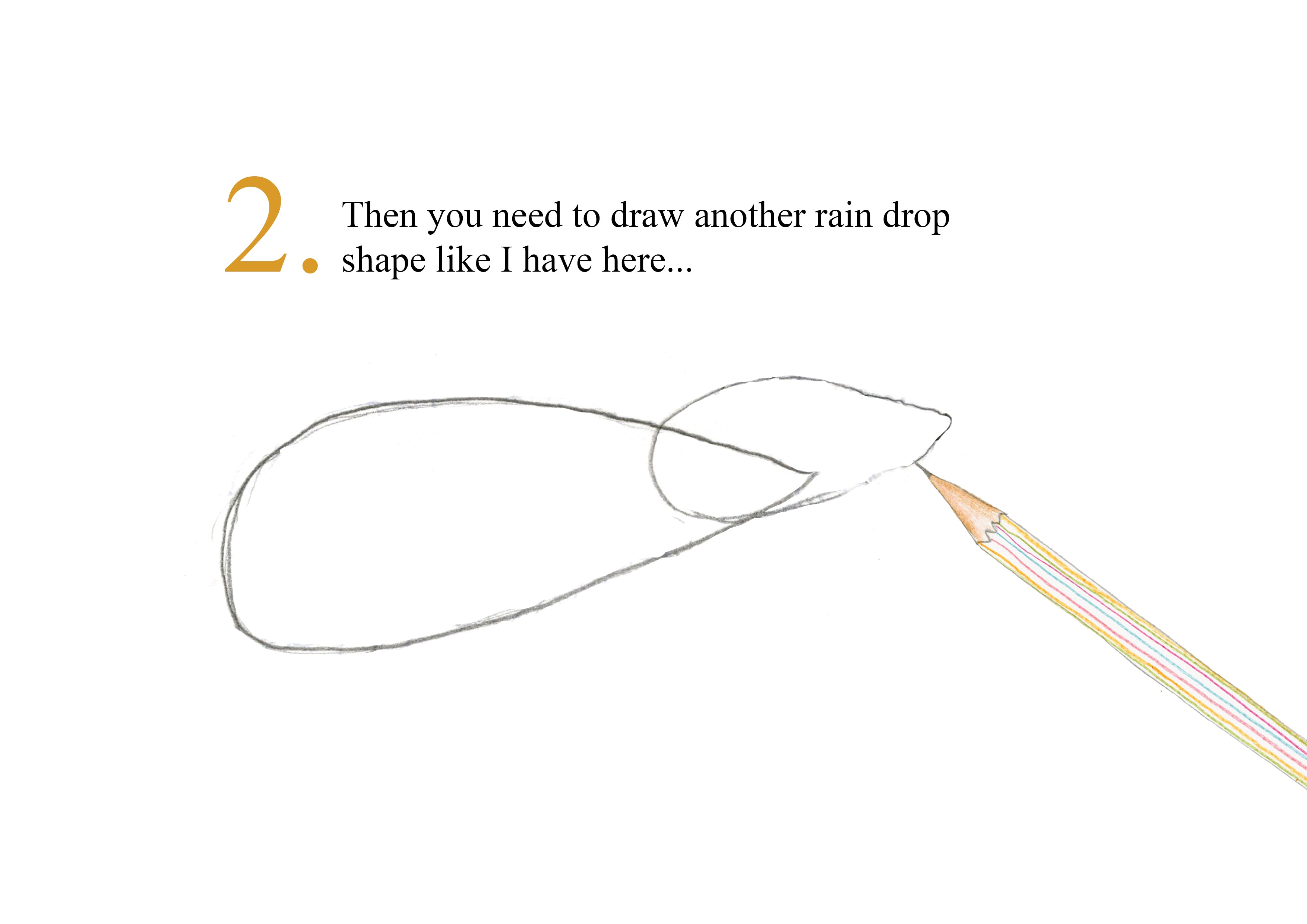 Catherine Rayner -  How to Draw 5 Bears - Step 2