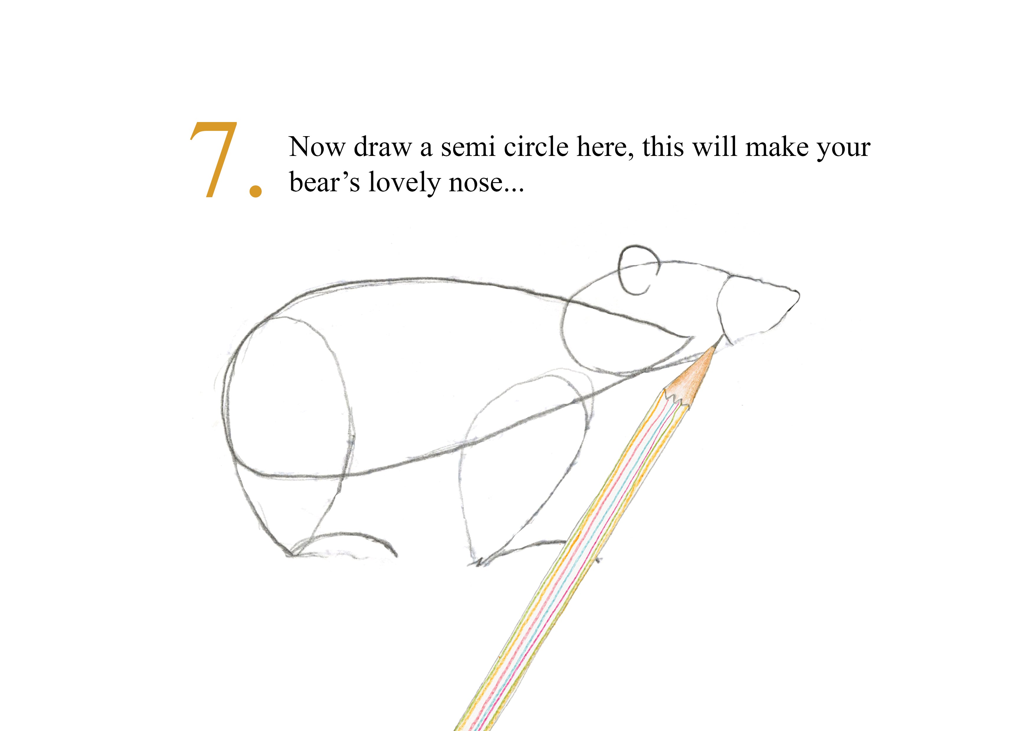 Catherine Rayner -  How to Draw 5 Bears - Step 7