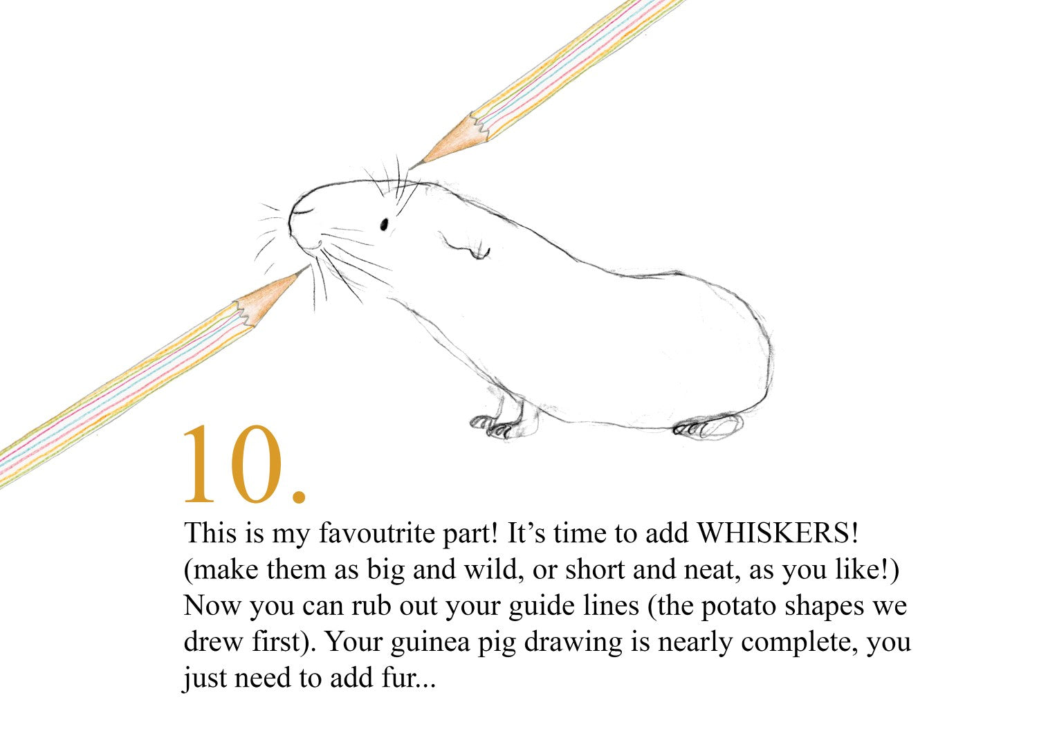 Catherine Rayner - How to Draw a Guinea Pig - Part 10