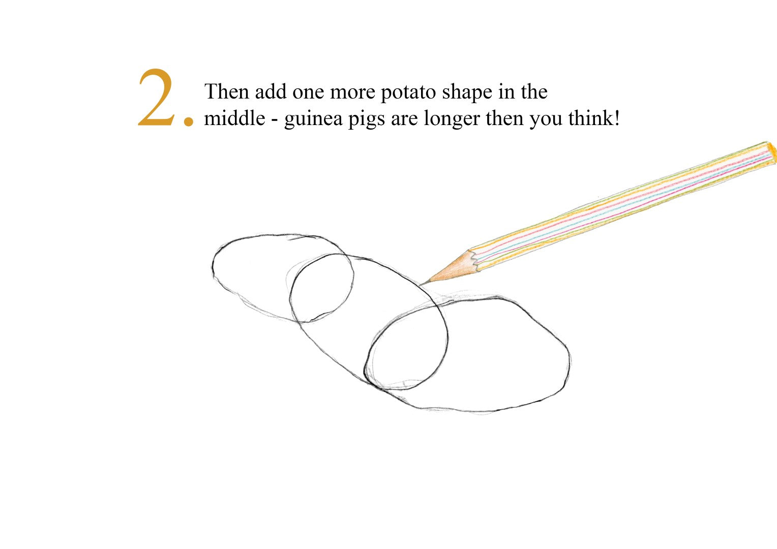Catherine Rayner - How to Draw a Guinea Pig - Part 2