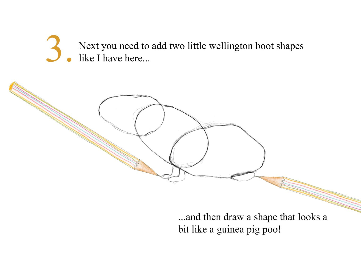 Catherine Rayner - How to Draw a Guinea Pig - Part 3