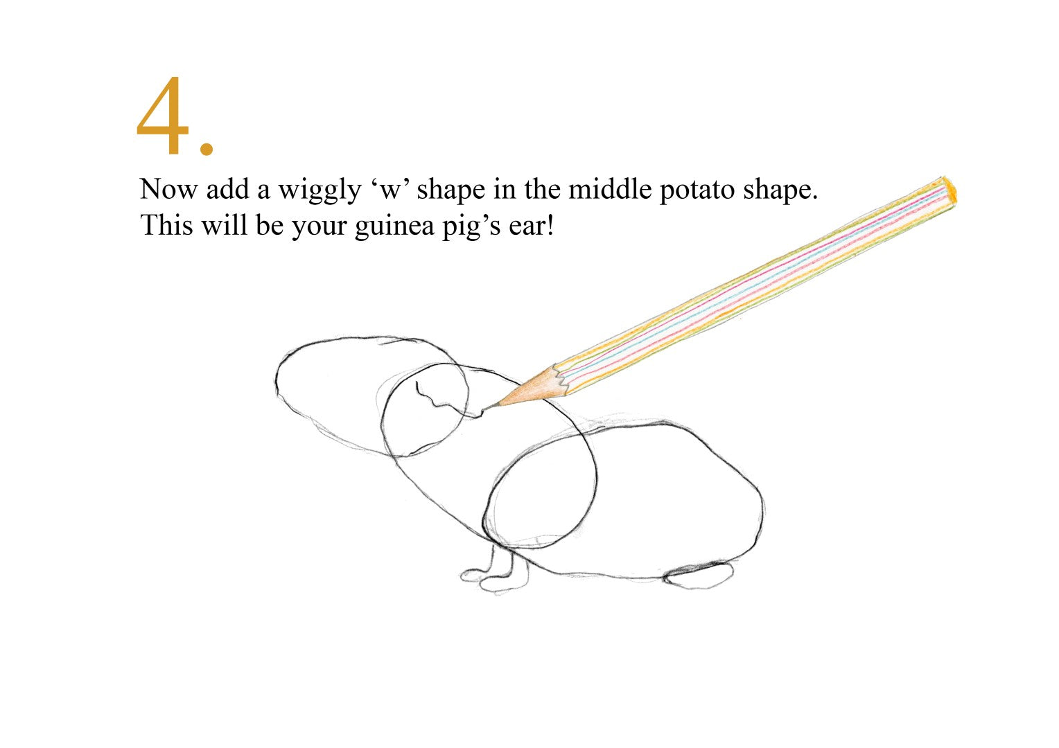 Catherine Rayner - How to Draw a Guinea Pig - Part 4